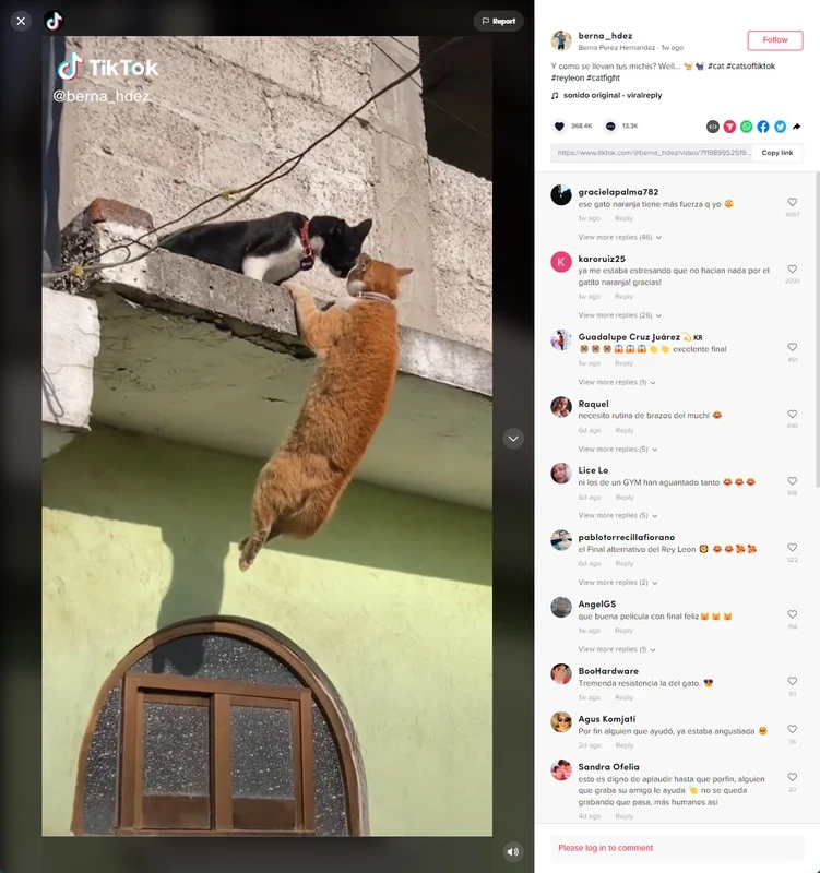 TikTok — スクリーンショット 2